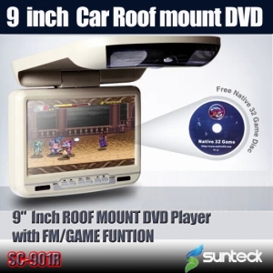 roof mount dvd